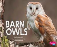 Barn_Owls
